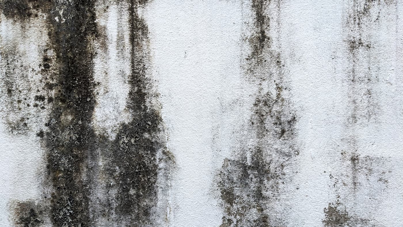 White wall with dark streaks of moisture damage running down from above
